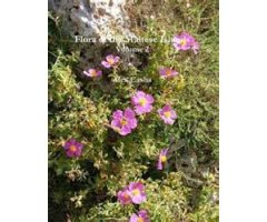 FLORA OF THE MALTESE ISLANDS VOLUME 2