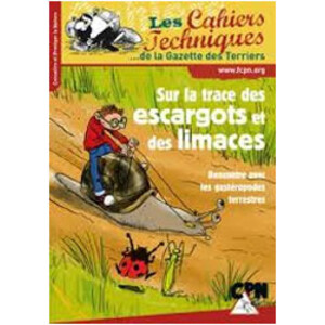 SUR LA TRACE DES ESCARGOTS ET DES LIMACES.RENCONTRE AVEC LES GASTÉROPODES TERRESTRES