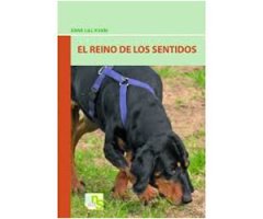 EL REINO DE LOS SENTIDOS      