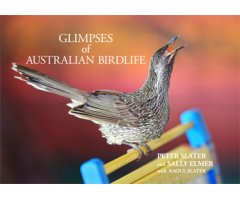 GLIMPSES OF AUSTRALIAN BIRDLIFE