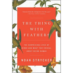 THE THING WITH FEATHERS. THE SURPRISING LIVES OF BIRDS AND WHAT THEY REVEAL ABOUT BEING