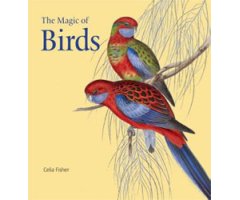 THE MAGIC OF BIRDS
