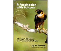 A FASCINATION WITH FALCONS