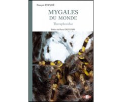 MYGALES DU MONDE -  THERAPHOSIDAE  