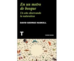 EN UN METRO DE BOSQUE