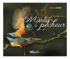 MARTIN LE PECHEUR