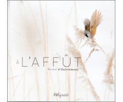 À L'AFFÛT