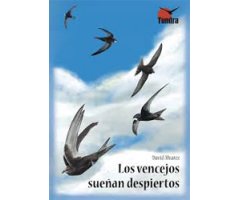 LOS VENCEJOS SUEÑAN DESPIERTOS 2