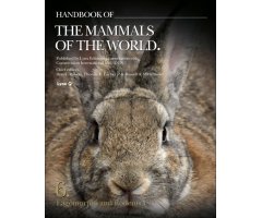 HANDBOOK OF THE MAMMALS OF THE WORLD. VOLUME 6 RODENTS AND LAGOMORPHS