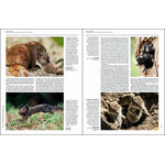HANDBOOK OF THE MAMMALS OF THE WORLD. VOLUME 6 RODENTS AND LAGOMORPHS 3