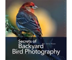 SECRETS OF BACKYARD BIRD PHOTOGRAPHY