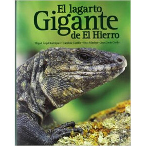 EL LAGARTO GIGANTE DE EL HIERRO