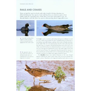 UNDERSTANDING BIRD BEHAVIOUR 3