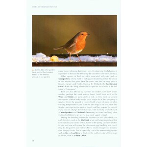 UNDERSTANDING BIRD BEHAVIOUR 4