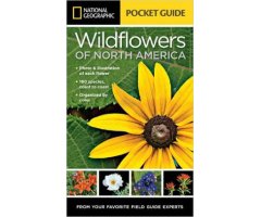 NATIONAL GEOGRAPHIC POCKET GUIDE. WILDFLOWERS OF NORTH AMERICA