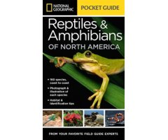 NATIONAL GEOGRAPHIC POCKET GUIDE. REPTILES & AMPHIBIANS OF NORTH AMERICA