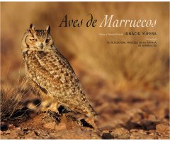 AVES DE MARRUECOS