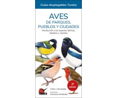 AVES DE PARQUES, PUEBLOS Y CIUDADES. INTRODUCCIÓN A LAS ESPECIES IBÉRICAS, BALEARES Y CANARIAS. GUÍA DESPLEGABLE TUNDRA.