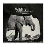 WILDLIFE PHOTOGRAPHER OF THE YEAR. PORTFOLIO 25