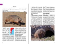 MAMÍFEROS TERRESTRES PATAGONIA SUR DE ARGENTINA Y CHILE 3
