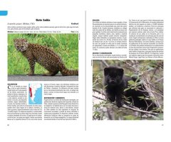 MAMÍFEROS TERRESTRES PATAGONIA SUR DE ARGENTINA Y CHILE 2