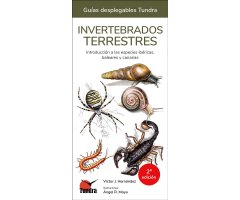 INVERTEBRADOS TERRESTRES. INTRODUCCIÓN A LAS ESPECIES IBÉRICAS, BALEARES Y CANARIAS. GUÍAS DESPLEGABLES TUNDRA