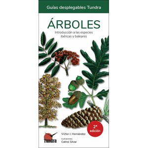 ÁRBOLES. INTRODUCCIÓN A LAS ESPECIES IBÉRICAS Y BALEARES. GUÍAS DESPLEGABLES TUNDRA