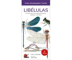 LIBÉLULAS. INTRODUCCIÓN A LAS ESPECIES IBÉRICAS, BALEARES Y CANARIAS. GUÍAS DESPLEGABLES TUNDRA