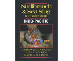 NUDIBRANCH & SEA SLUG IDENTIFICATION. INDO PACIFIC