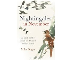 NIGHTINGALES IN NOVEMBER. A YEAR IN THE LIVES OF TWELVE BRITISH BIRDS