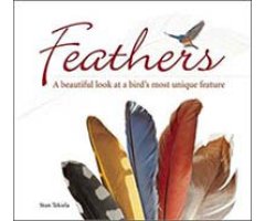FEATHERS: A BEAUTIFUL LOOK AT BIRD\'S MOST UNIQUE FEATURE