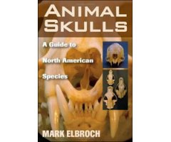 ANIMAL SKULLS: A GUIDE TO NORTH AMERICAN SPECIES   