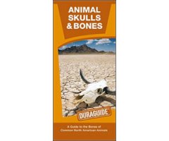 ANIMAL SKULLS & BONES: A WATERPROOF POCKET GUIDE TO THE BONES OF COMMON NORTH AMERICAN ANIMALS