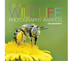 BRITISH WILDLIFE PHOTOGRAPHY AWARDS. COLLECTION 6