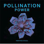 POLLINATION POWER