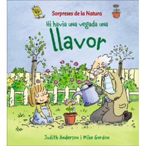 HI HAVIA UNA VEGADA UNA LLAVOR