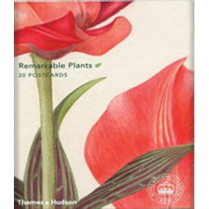 REMARKABLE PLANTS IN 30 POSTCARDS