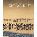 LIGHT AND DUST