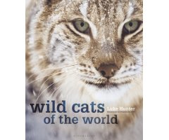 WILD CATS OF THE WORLD
