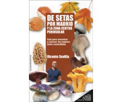 DE SETAS POR MADRID Y LA ZONA CENTRO PENINSULAR