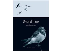 SWALLOW