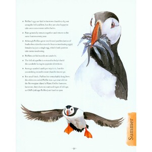 AN ILLUSTRATED COASTAL YEAR. THE SEASHORE UNCOVERED SEASON BY SEASON 3