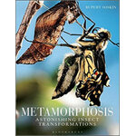 METAMORPHOSIS. ASTONISHING INSECT TRANSFORMATIONS