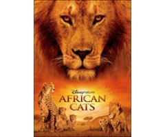 DVD AFRICAN CATS 2