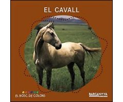 EL CAVALL. EL BOSC DE COLORS