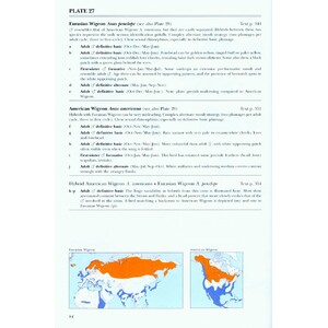 WILDFOWL OF EUROPE, ASIA AND NORTH AMERICA 4