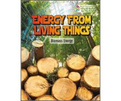 ENERGY FROM LIVING THINGS. BIOMASS ENERGY