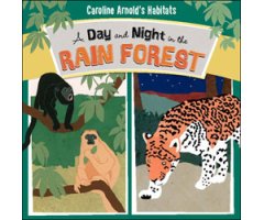 A DAY AND NIGHT IN THE RAIN FOREST        