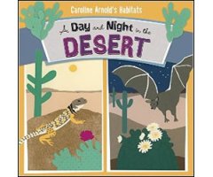 A DAY AND NIGHT IN THE DESERT