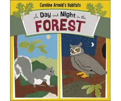 A DAY AND NIGHT IN THE FOREST 